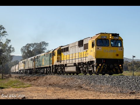 Trackside: GML10, 8044, 8037 and 44202 on the Avoca line with QUBE's 7762V up Birchip grain- 28/9/20
