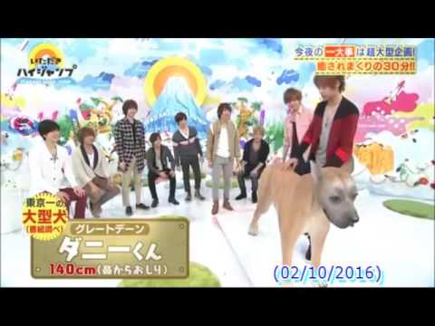Hey Say JUMP! Itadaki High Jump Cute moments
