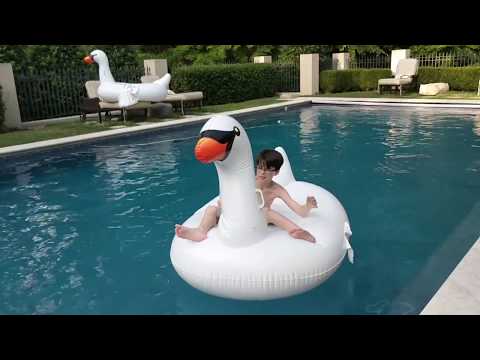 Love Our New House! (Mansion)