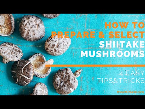 How to Prepare and Select Shiitake Mushrooms