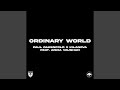 Ordinary World - Paul Oakenfold - Topic Ordinary World