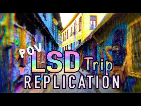 LSD Trip Simulation Replication [Accurate POV]
