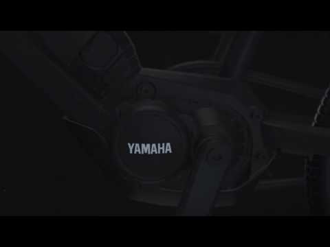 WINORA Radius urban eBike Teaser 2016 | Promo ► Moehrle-Bikes.de