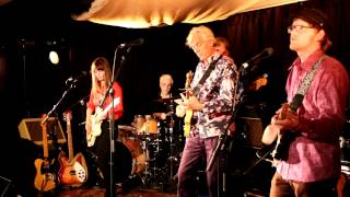 Robyn Hitchcock & I Was A King with friends: Ferries