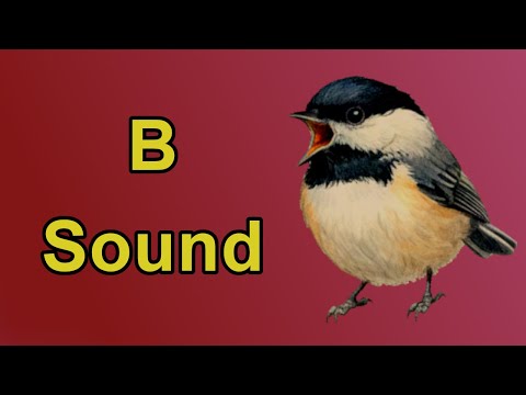 The B Sound Sonnet | Phonemic Awareness Poetry