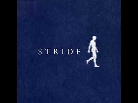 Rony Seikaly - Give Me Space (Audiofly Remix)