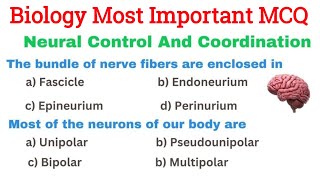 Neural Control And Coordination MCQ | Class 11 Biology One Shot | NEET Biology 2024 MCQ