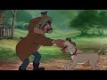 Meet Tod And Copper From The Fox And The Hound
