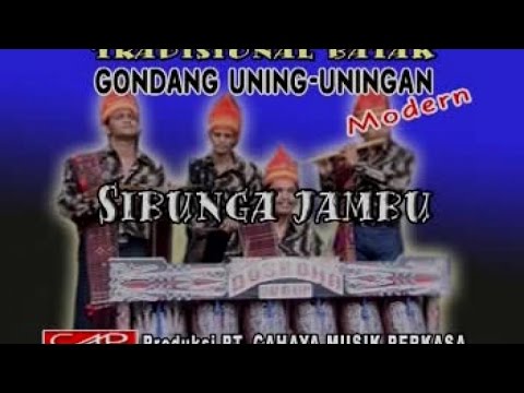 Posther Sihotang, dkk - Sibunga Jambu (Official Music Video)