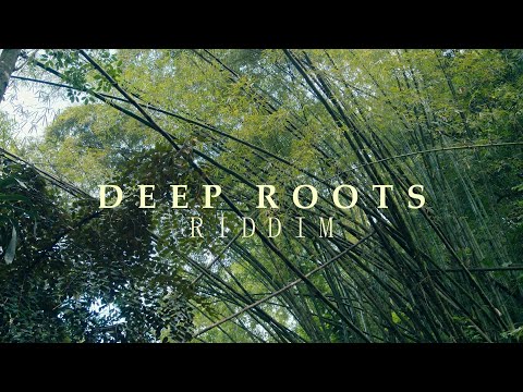 Sinky Beatz - Deep Roots Riddim (Reggae Roots Instrumental)