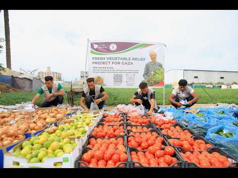 Post-Fundraising Vegetable Distribution Overview
