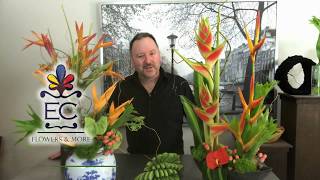 Download Lagu Tropical Flowers Farm Direct - EC Flowers u0026 More Thumbnail