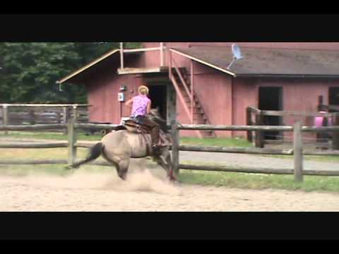 Equinenow