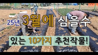 3월에 심을 수 있는 10가지 추천 작물 #주말 농장 도시 텃밭에서 3월에 가꿀 수 있는 작물.
