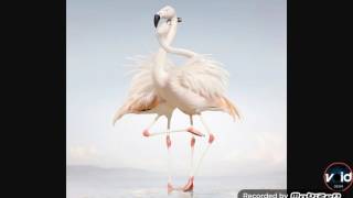 Rustie - Attack (Bass Boosted)