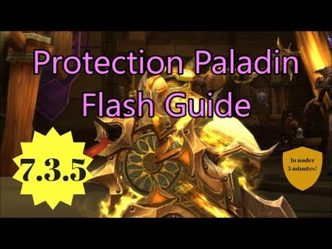 Protection Paladin Flash Guide for 7.3.5