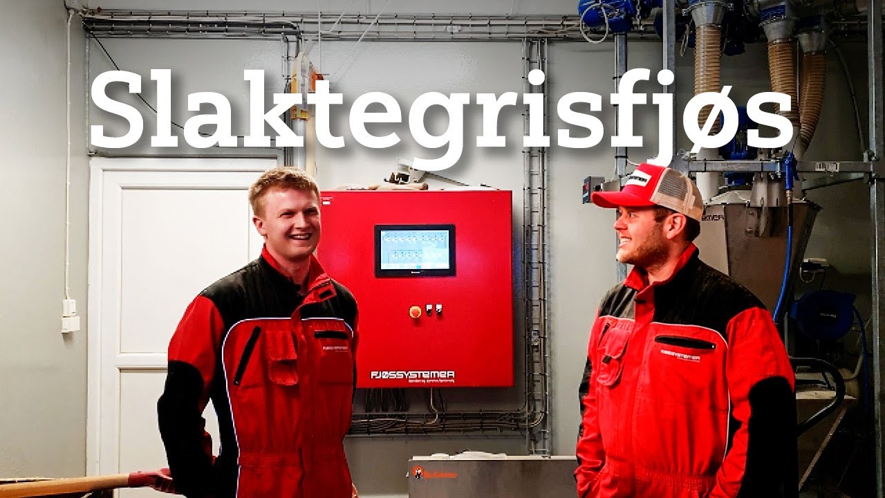 Komplett i-mek løsning i slaktegrisfjøset