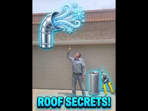 The REAL Reason Scorpions Drop From Your Bathroom Ceiling