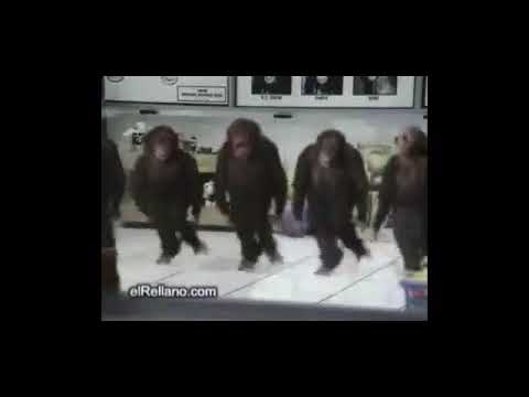 Kurdish dance masha allah