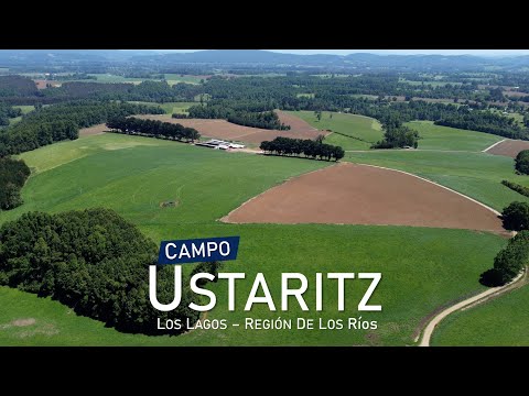 Campo Ustaritz, Los Lagos - Región de Los Ríos