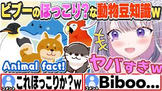 [JP/ENG SUB] ほっこり？できる動物豆知識を連発するビブーw / Biboo sharing fun animal facts【古石ビジュー/ホロライブ/切り抜き】