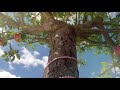 Refreshed Robinsons Ad