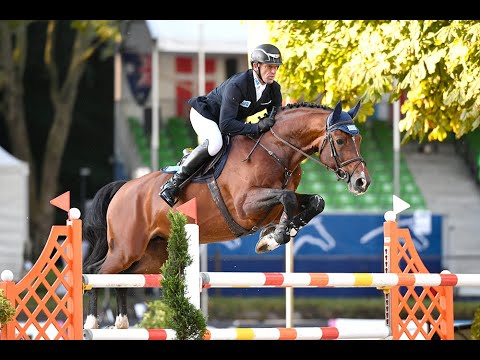 Diamant de Plaisir *2012 by Diamant de Semmily x For Pleasure