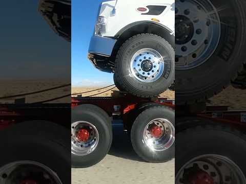 New Trucks#shortsvideo #truckdrivers #trucking #truck #trucker #peterbilt