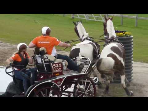VERSTAPPEN Harrie, NED, CAI3# Kronenberg NED, Marathon Ob 3, HORSE PAIR, 22 04 2018
