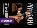 Đàn Guitar Classic Yamaha CG122MC