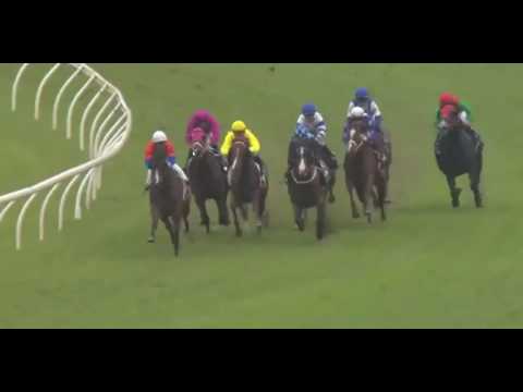 Racing Review - Randwick Saturday 28 May