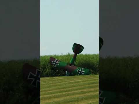 CRASH landing in the wind | Albatros D.III Oeffag | giant RC scale biplane