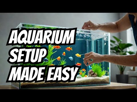 BEGINNER FRIENDLY Guide To Setting Up An Aquael Leddy 40 Aquarium
