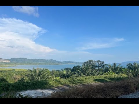 Sea View Land Plot Over 18 Rai for Sale in Takua Thung, Phang Nga