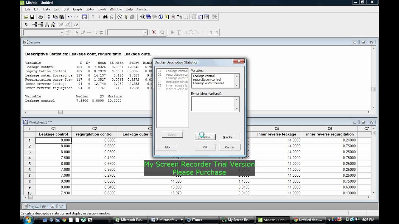 Mean and standard deviation using minitab