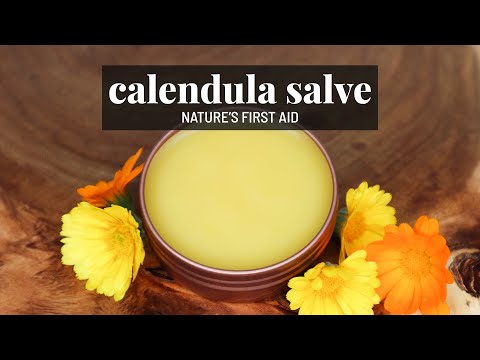 DIY Calendula Salve 🌼 Natural healing skincare for cuts, burns, eczema | GroundedHavenHomestead