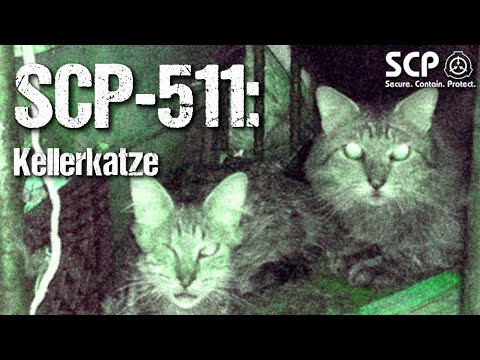 SCP-511: Cellar Cat – SCP Favourites | German Creepypasta (Horror, Horror, Audiobook) GERMAN