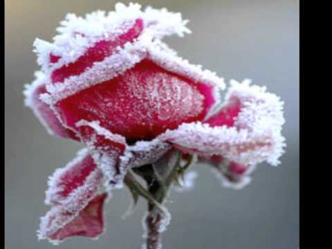 The Rose - Bette Midler & Wynonna Judd