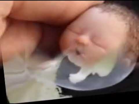 El Rokie - Gracias Mama (Oficial Video)