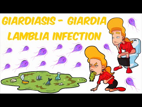 Hogyan terjed az emberi papillomavírus
