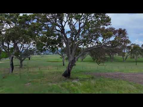 70 Sunnyside Loop Road, Tenterfield, NSW 2372, 0房, 0浴, 建地