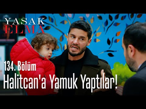 Halitcan'a yamuk yaptılar! - Yasak Elma 134. Bölüm