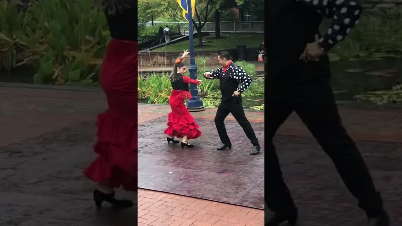 Promotional video thumbnail 4 for Jaleo Arte Flamenco