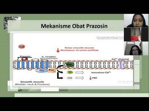 Hepatrombin g prosztatitis