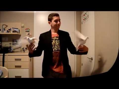 Balloon to dove box - Magic Cesar