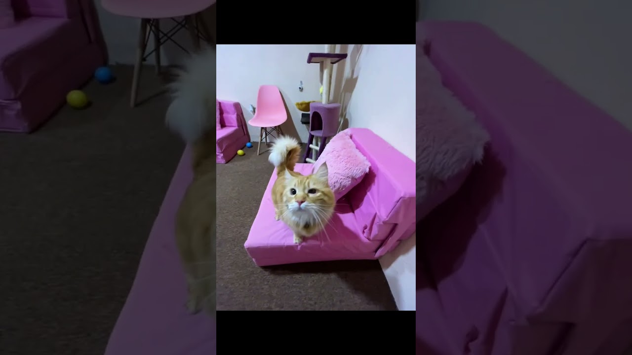 Jhoana Mendoza Larios-42