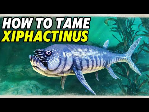 How To Tame Xiphactinus & Abilities, The Oceans New Terrifying Creature, Ark Survival Ascended