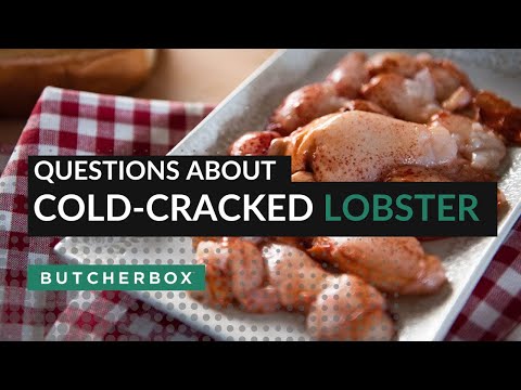 Questions About Cold-Cracked Lobster with Eventide's Mike Wiley