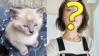 Convincing Another YouTuber To Adopt My Foster Kittens!