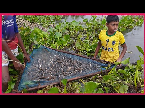 Most Satisfying Cast Net Fishing Video in River - Traditional Net Catch Fishing Video